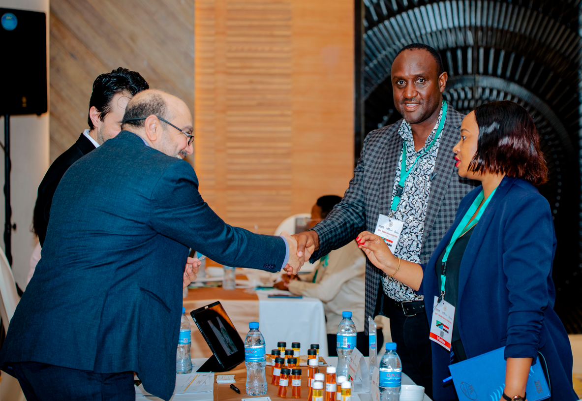 Tanzania at Expo 2025