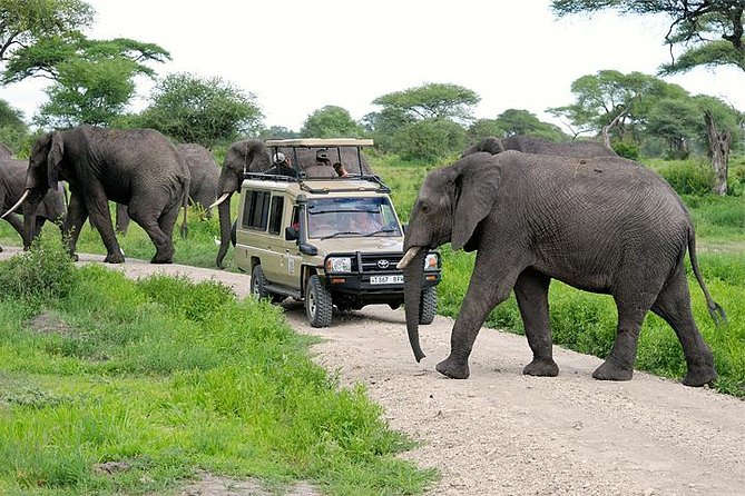 Arusha National Park