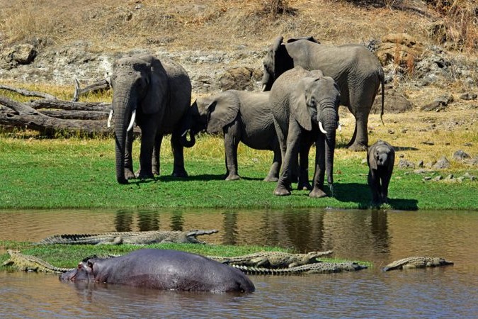 Ruaha National Park