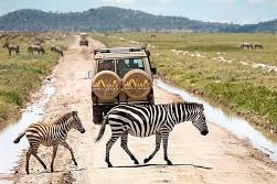 Serengeti National Park